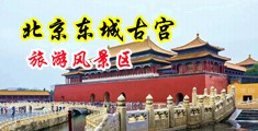 性感丰满女主管被插视频中国北京-东城古宫旅游风景区